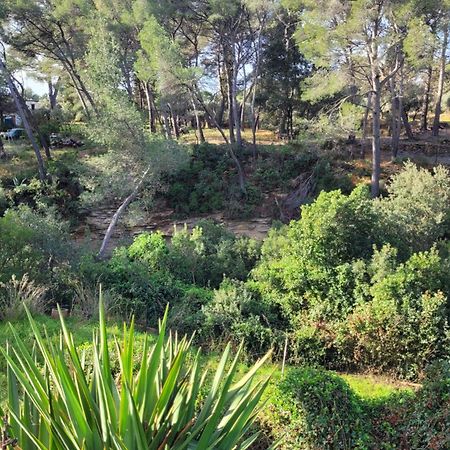 Le Repaire De La Cadiere A 5Mn Des Plages ! Saint-Cyr-sur-Mer Exteriér fotografie