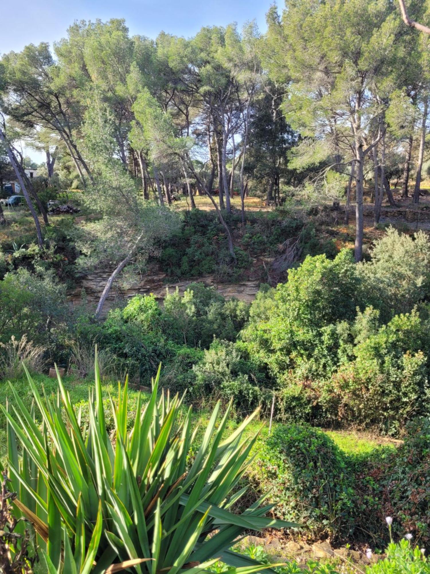 Le Repaire De La Cadiere A 5Mn Des Plages ! Saint-Cyr-sur-Mer Exteriér fotografie